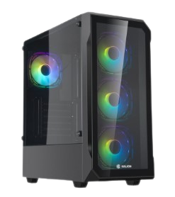 CASE