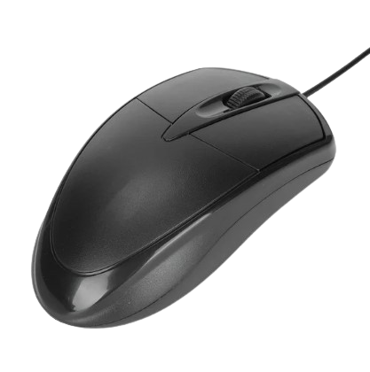 MOUSE